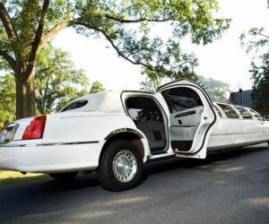 Belgrade Bachelor Party Limousine Tour 1 hour