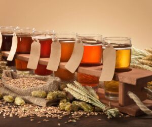 🍻 Hop Around Belgrade – Craft Beer Tasting Tour 4 Hours